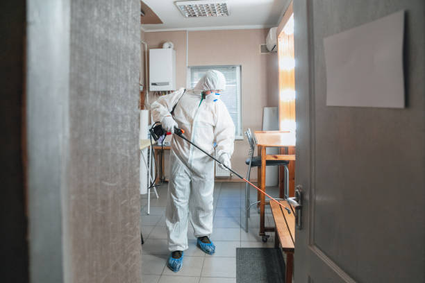Best Asbestos and Lead Testing During Mold Inspection  in Bandon, OR