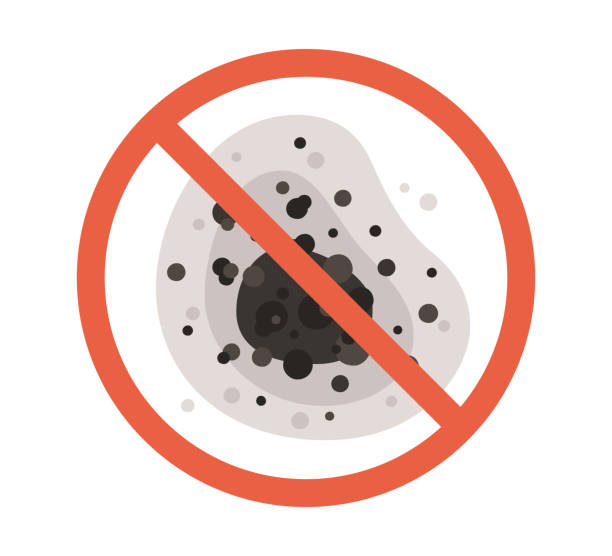 Best Mold Removal for HVAC Installations  in Bandon, OR