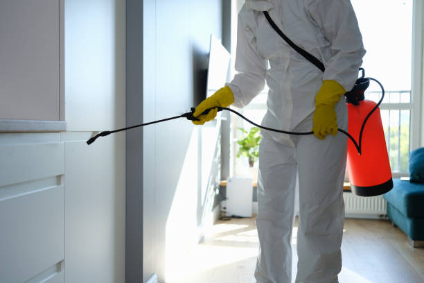 Best Air Quality Testing for Mold Spores  in Bandon, OR