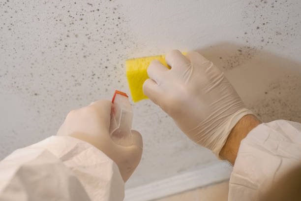 Best Forensic Mold Investigation  in Bandon, OR