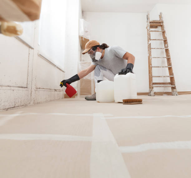 Best Basement Mold Removal  in Bandon, OR